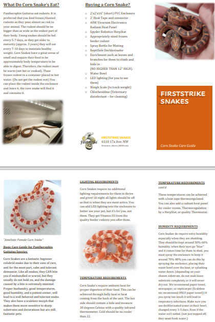 Corn and King Snake Care Sheet