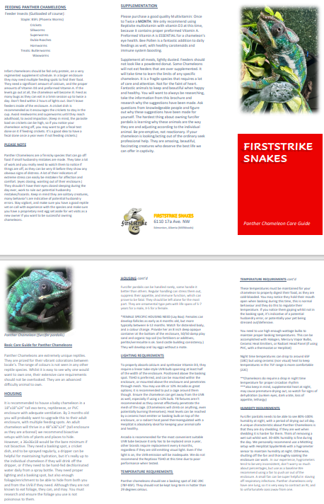 Panther Chameleon Care Sheet