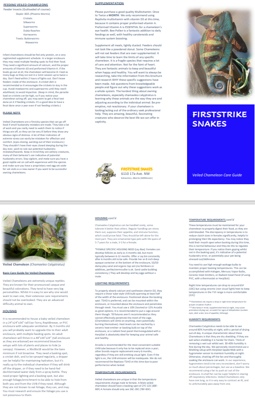 Veiled Chameleon Care Sheet