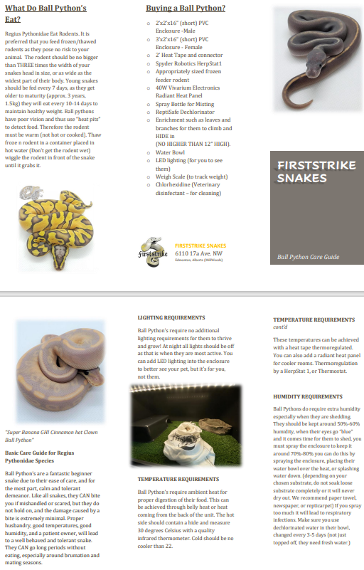 Ball Python Care Sheet – Firststrike Snakes & Feeders